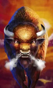 Buffalo Rampage